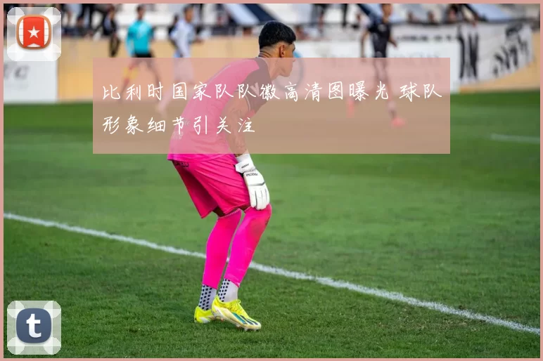 比利时国家队队徽高清图曝光 球队形象细节引关注