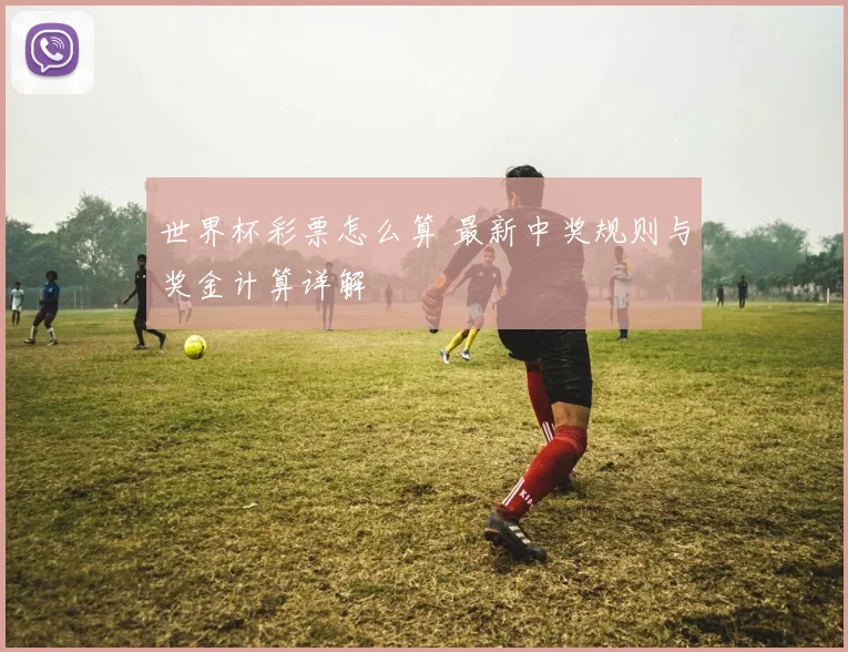 世界杯彩票怎么算 最新中奖规则与奖金计算详解