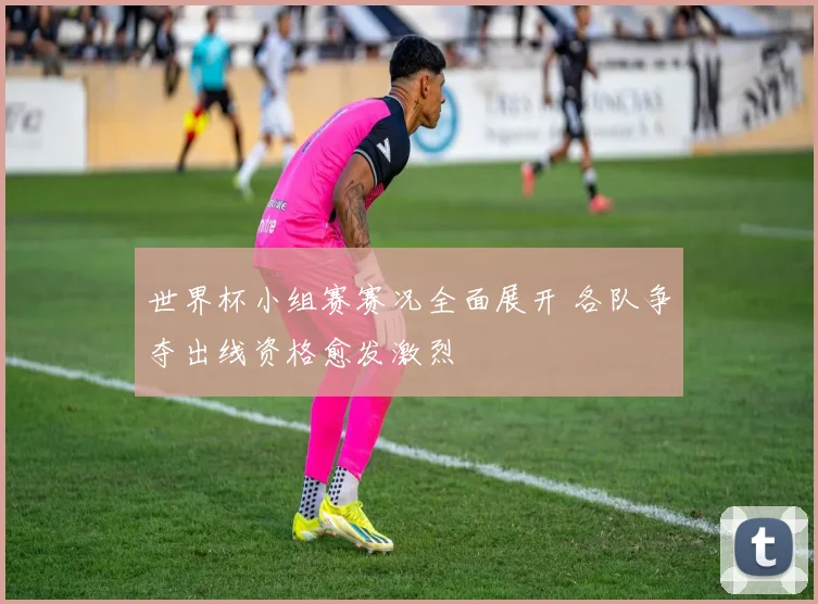 世界杯小组赛赛况全面展开 各队争夺出线资格愈发激烈
