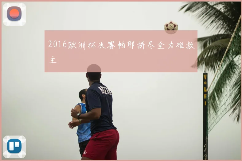 2016欧洲杯决赛帕耶拼尽全力难救主