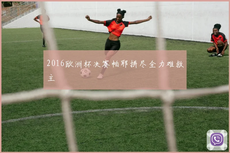 2016欧洲杯决赛帕耶拼尽全力难救主