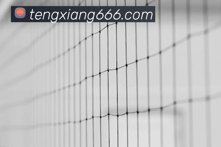 欧洲杯揭幕战赛前首发预测与比分看点及关键球员对出线形势影响